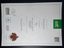 purchase realistic AAT Level 2 Certificate in Accounting