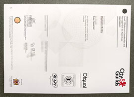 purchase realistic City & Guilds Level 5 Diploma