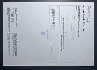 purchase realistic DELF official transcript