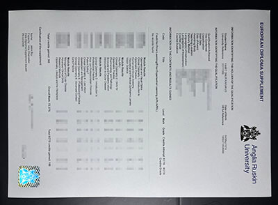 purchase realistic Anglia Ruskin University Transcript