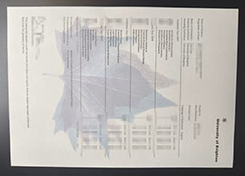 purchase realistic University of Brighton Transcript
