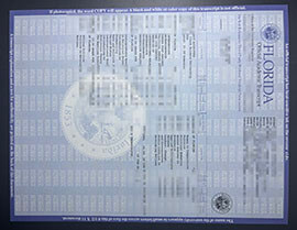 purchase realistic Florida University Transcript