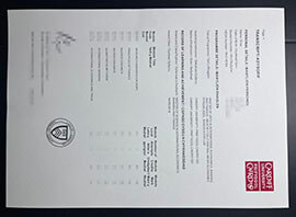 purchase realistic Cardiff University Transcript
