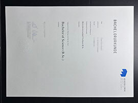 purchase realistic Hochschule Mainz degree