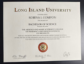 purchase realistic Long Island University degree