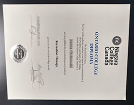 purchase realistic Niagara College degree