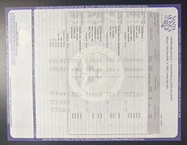 purchase realistic Santa Monica College Transcript