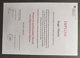 purchase realistic Schweizer Bundes Diplom