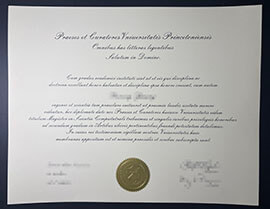 purchase realistic Universitatea Princetonian degree