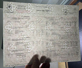 purchase realistic University of Calgary Transcript