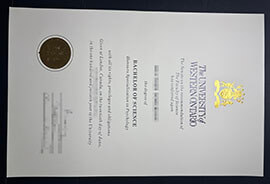 purchase realistic University of Western Ontario degree