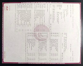 purchase realistic Cal State Transcript