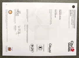 purchase realistic City & Guilds Level 5 Diploma