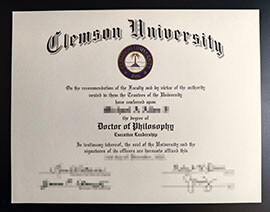 purchase realistic Clemson University degree