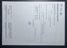 purchase realistic DELF official transcript