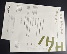purchase realistic De Haagse Hogeschool degree