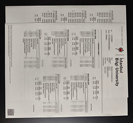 purchase realistic Istanbul Bilgi University Transcript