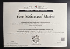 purchase realistic Istanbul Bilgi University certificate