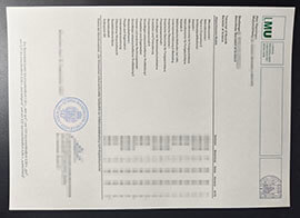 purchase realistic Ludwig Maximilians Universität Transcript