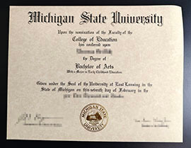 purchase realistic Michigan State University College of Education degree