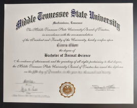 purchase realistic Middle Tennessee State University degree