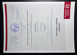 purchase realistic Technische Universität Braunschweig diploma