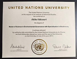 purchase realistic United Nations University degree