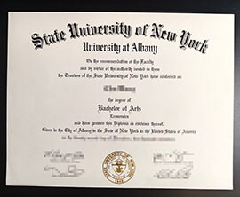 purchase realistic University at Albany degree