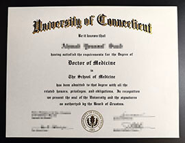 purchase realistic University of Connecticut degree