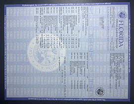 purchase realistic University of Florida Transcript
