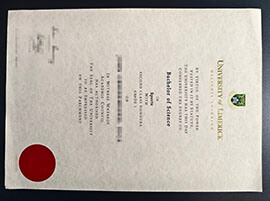 purchase realistic University of Limerick degree