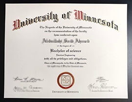 purchase realistic University of Minnesota degree