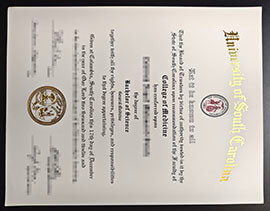 purchase realistic University of South Carolina degree