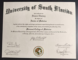 purchase realistic University of South Florida degree