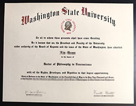 purchase realistic Washington State University degree