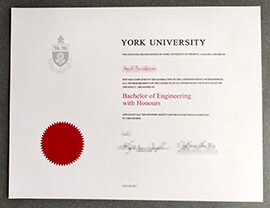 purchase realistic York University degree
