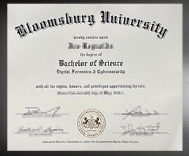purchase realistic Bloomsburg University degree