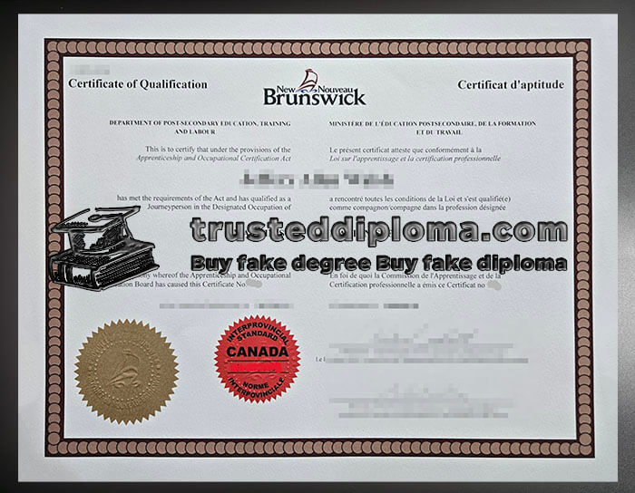 purchase realistic Brunswick Certificate of Qualification