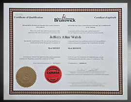purchase realistic Brunswick Certificate of Qualification