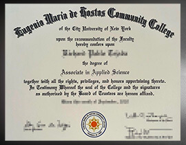 purchase realistic Eugenio Maria de Hostos Community College degree
