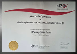 purchase realistic New Zealand Qualifications Framework certificate