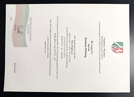 purchase realistic Nordrhein Westfalen Ärztliche Prüfung Zeugnis