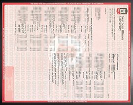 purchase realistic Northern Illinois University Transcript