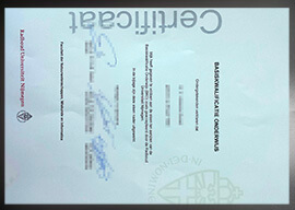 purchase realistic Radboud Universiteit Nijmegen certificate