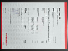 purchase realistic Scheidegger Opleidingen Transcript