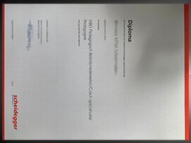 purchase realistic Scheidegger Opleidingen degree