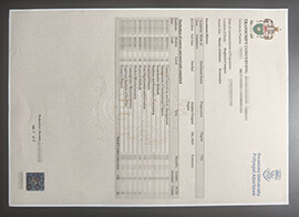 purchase realsitic Swansea University Transcript