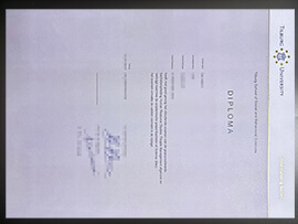 purchase realistic Tilburg University diploma