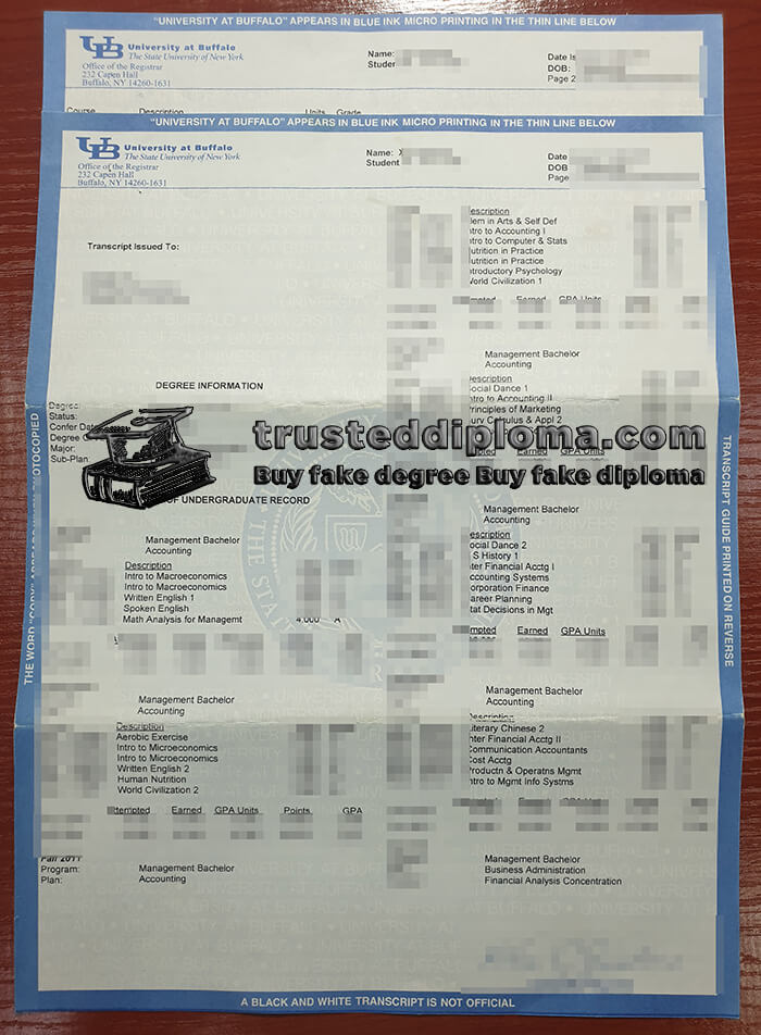 purchase realistic University at Buffalo Transcript