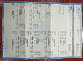 purchase realistic University at Buffalo Transcript